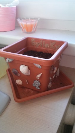 Kvetináč s mušľami